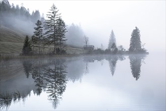 Morning fog at Ferchensee near Mittenwald