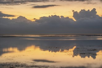 Beautiful seascape in the morning. Tropical sandy beach with breakwater and reflection of the sky