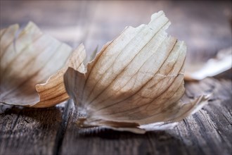 A close up of an onion peel on wood