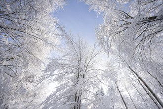 Winter impressions in the Swabian Alb