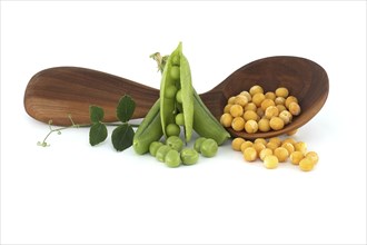 Wooden spoon filled with a yellow dried peas surrounded by a green leaf, fresh green peas and pea