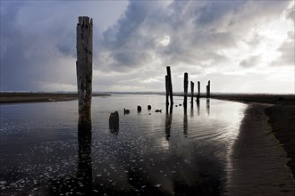 Posts in silhouette at sunset on Pacific Beach, Washington