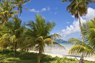 Dream beach in the Seychelles, Dream beach on Seychelles