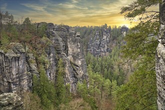 Rugged rocks at Basteibridge at sunset. Wide view over trees and mountains. National park in