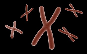 Conceptual image of chromosome