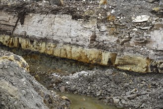 A seam of diamataceous earth at a mine in Queensland, Australia, Oceania