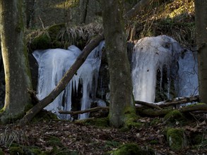 Icicles on a rock face in the Höllental valley in Upper Franconia