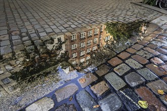 Reflection of houses in puddle, Old Town, Hamburg, Germany, Europe