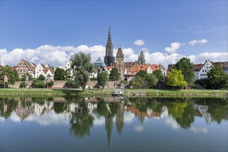 City view, Danube bank with historic old town, fishermens quarter, Metzgerturm and cathedral, Ulm,