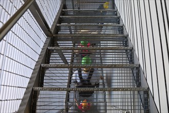 People with colourful helmets on a grating staircase of the former industrial plant Phoenix West,