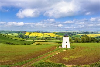 Windmill of Fields and Farms from a drone, Devon, England, United Kingdom, Europe