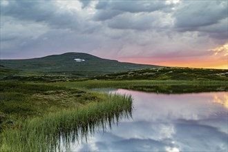 Lake in the landscape of the Hardangervidda plateau, Norway, Europe