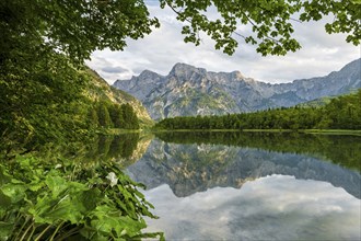 Almsee with reflection, Totes Gebirge, Grünau, Almtal, Salzkammergut, Upper Austria, Austria,