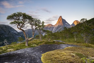 Norway's National Mountain Stetind, Tysfjord, Ofoten, Norway, Europe