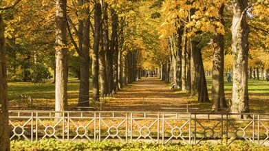 The former summer residence of the Saxon royal family is the largest chinoise palace complex in