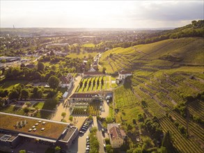 Wackerbarth Castle, originally Wackerbarths Ruh', is a Baroque castle surrounded by vineyards in