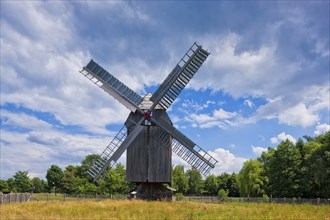 Bad Düben Summer Field Windmill