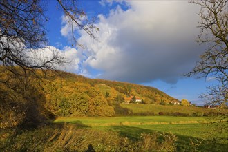 (Copyright Â©www.dresden fotografie.de) (Sylvio Dittrich +49 1772156417) Pillnitz Palace Park