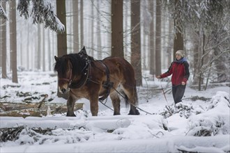 Winter in the Ore Mountains