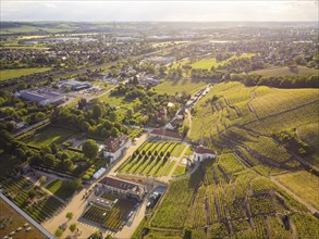 Wackerbarth Castle, originally Wackerbarths Ruh', is a Baroque castle surrounded by vineyards in