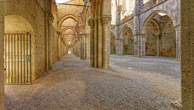 Nave and aisle, church ruins of the Cistercian Abbey of San Galgano, Abbazia San Galgano, Gothic,