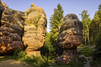 The Kelchstein is a mushroom rock in the Zittau Mountains near Oybin in Saxony and is part of the