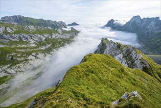 View of mountain peaks above the sea of clouds, Säntis mountains and valley of Meglisalp, high fog,