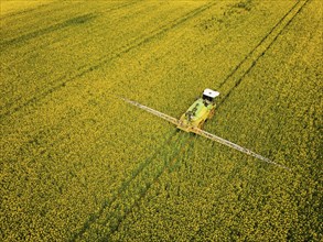 Crop protection products are applied to a rapeseed field on the outskirts of Dresden