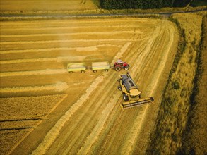 Grain harvest in a field near Babisnau on the outskirts of Dresden