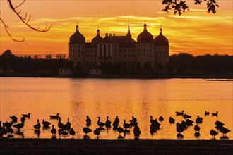 Moritzburg Baroque Palace