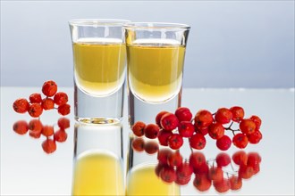 Spirits from the Ore Mountains, here the rowanberry schnapps