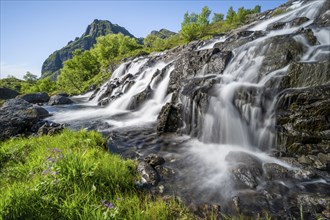 Lofoten waterfall on the hiking trail to Munkebu hut, long exposure, Moskenesoya, Lofoten,