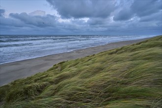 Sand dune, Sea, Marram Grass, Wind, Clouds, Zandvoort, North Sea, North Holland, Netherlands