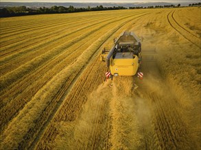 Grain harvest in a field near Babisnau on the outskirts of Dresden