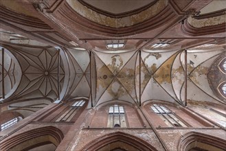 Vaulted ceiling of St. George Church, brick Gothic, Wismar, Mecklenburg-Western Pomerania