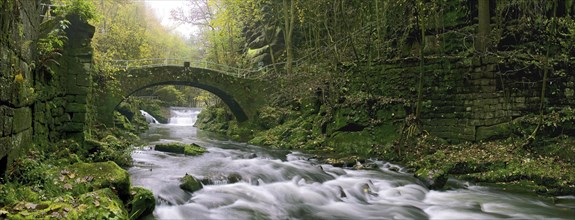 Liebethaler Grund near Lohmen in Saxon Switzerland