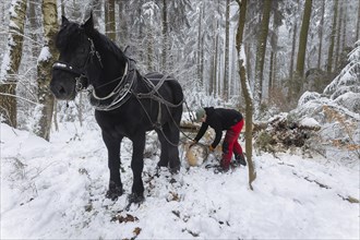 Winter in the Ore Mountains