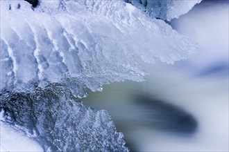 Ice formations in the Wesenitz in Liebethaler Grund