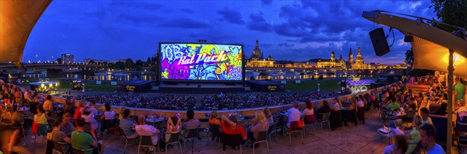 Film Nights on the banks of the Elbe