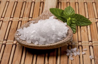 A close up image of a wooden spoon filled with sea salt and a green leaf