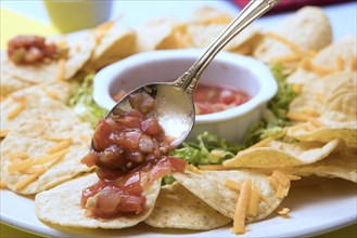 A close up view of a plate of nachos with salsa dip and a spoon