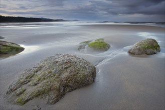 The picturesque Otter Rock beach in the morning north of Newport, Oregon