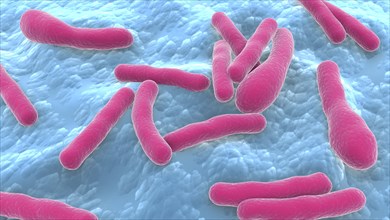 Biomedical illustration of Clostridium botulinum bacteria