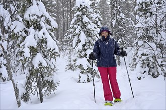 Woman trudging through snowy forest on snowshoes, Lapland, Finland, Europe