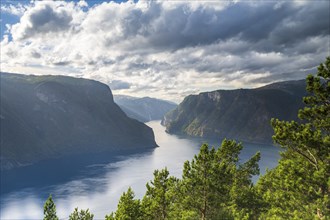 Narrow Fjord, Sognefjord, Norway, Europe