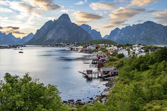 Village view of the fishing village Reine, traditional red Rorbuer cabins, at sunset, in the back