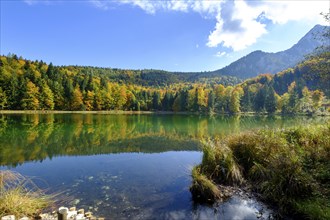 Frillensee near Inzell, Chiemgau, Upper Bavaria, Bavaria, Germany, Europe