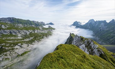 View of mountain peaks above the sea of clouds, Säntis mountains and valley of Meglisalp, high fog,