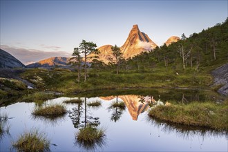 Norway's national mountain Stetind reflected in small lake, Tysfjord, Ofoten, Norway, Europe