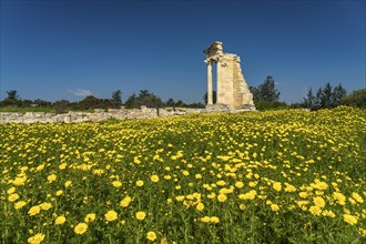 Sanctuary and temple of Apollo Hylates in the ancient city of Kourion, Episkopi, Cyprus, Europe